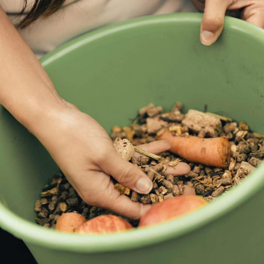 dit is het beste voer voor je paard
