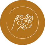 herkenbare voeding is essentieel voor je paard