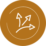 vrije keuze is essentieel voor je paard