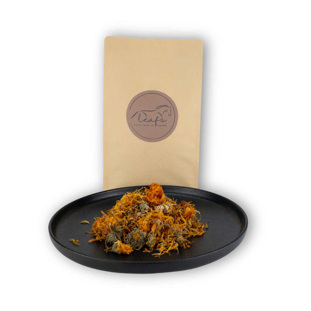 LF00013 – Goudsbloemen (calendula) – S LF00013 – Goudsbloemen (calendula) – S